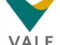 Vale SA (VALE) Stock Update